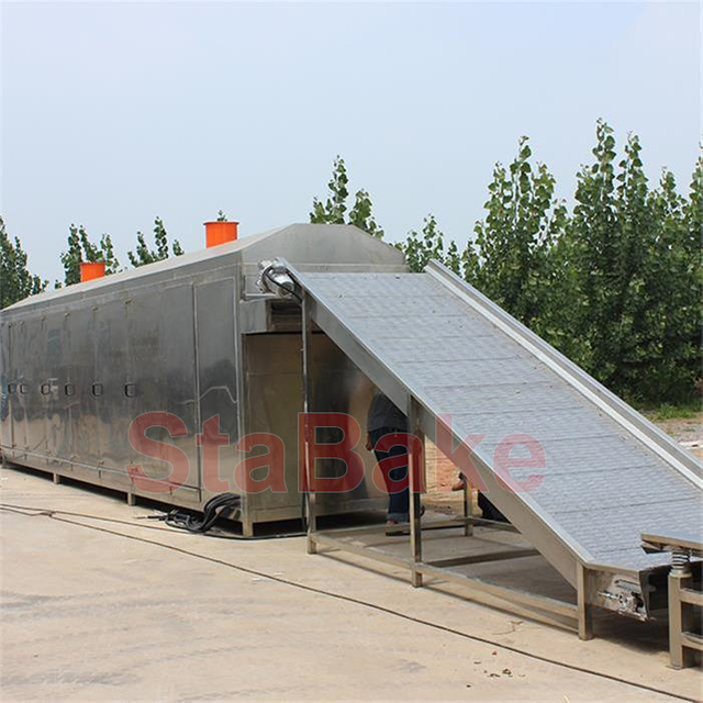 Raisin Washing And Drying Grading Processing Line