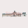French Fries Washing And Picking Processing Line