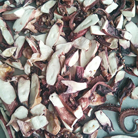 Squid-freezing-drying