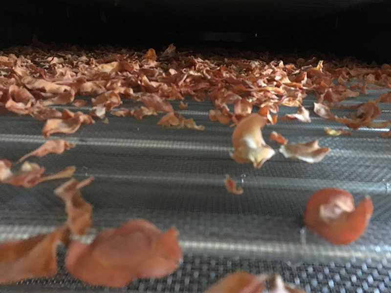 Drying Machine