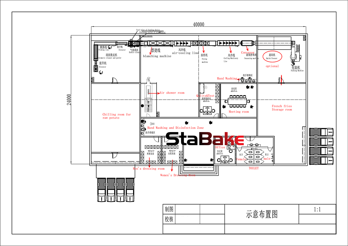 layout for frozen french fries line