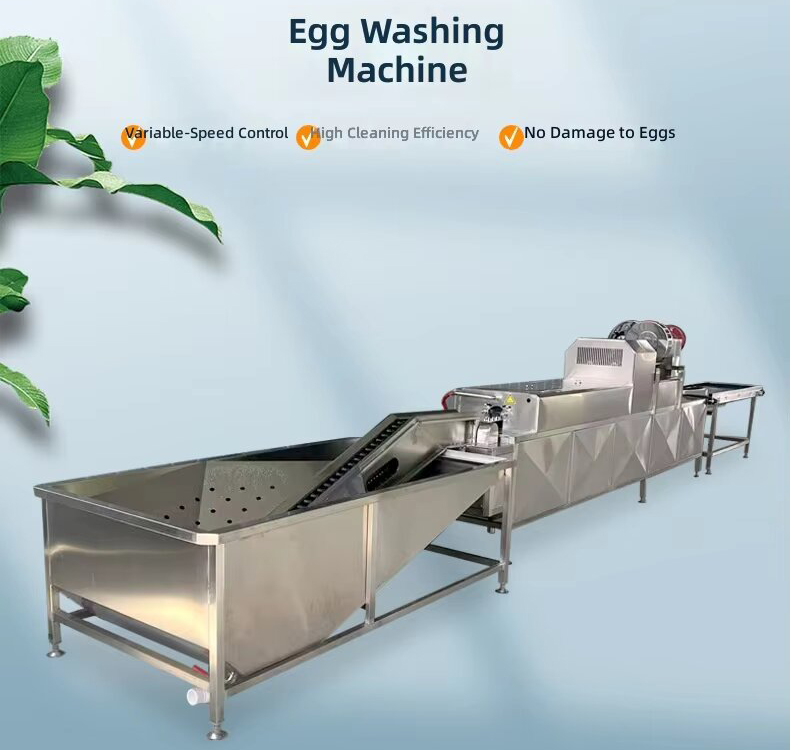 egg washing machine details 12