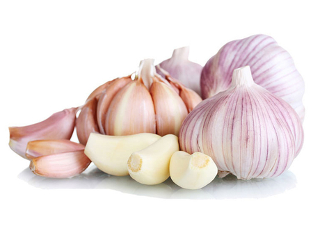 Garlic processing.jpg