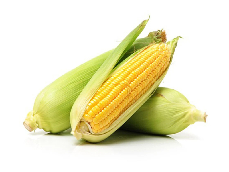 Sweet Corn Processing Line Solution