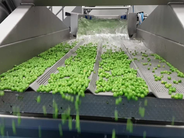 Fruit and Vegetable Processing Machine