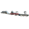 Raisin Washing And Drying Grading Processing Line