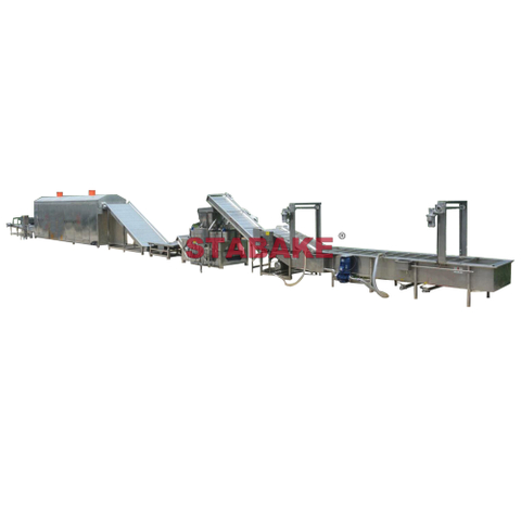 Raisin Washing And Drying Grading Processing Line