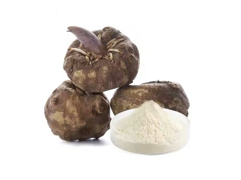 Konjac