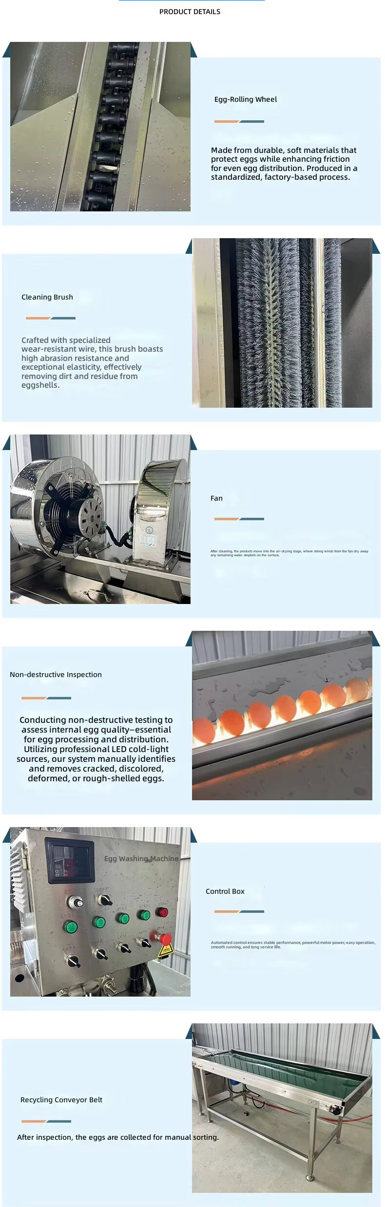 egg washer details