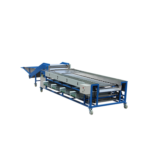 Vegetable and Fruit Grading Machine