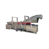 QX Series Air Bubble Fruit And Vegetable Washing Processing Machine